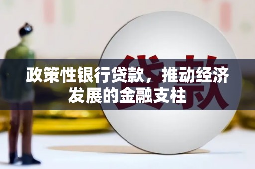 尚义政策性银行贷款，推动经济发展的金融支柱