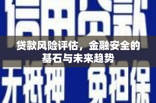 尚义贷款风险评估，金融安全的基石与未来趋势