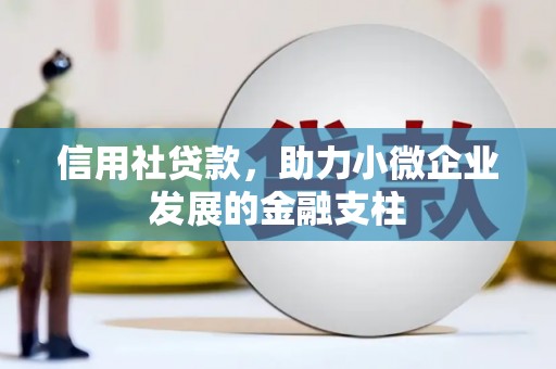 尚义信用社贷款，助力小微企业发展的金融支柱