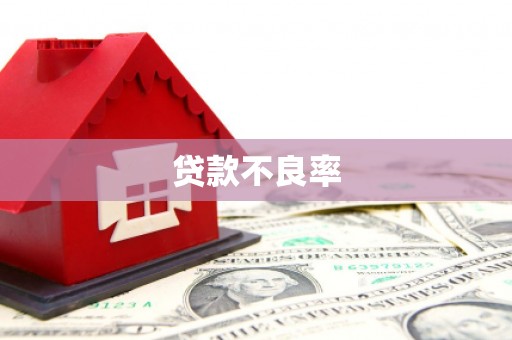 尚义贷款不良率