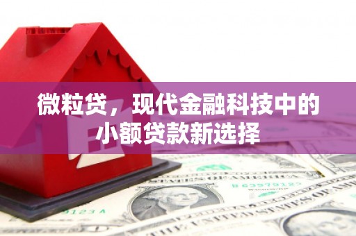 尚义微粒贷，现代金融科技中的小额贷款新选择
