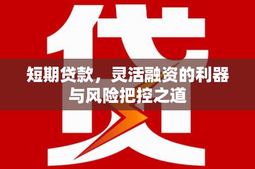 尚义短期贷款，灵活融资的利器与风险把控之道
