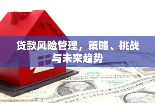 尚义贷款风险管理，策略、挑战与未来趋势