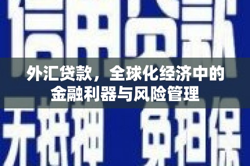 尚义外汇贷款，全球化经济中的金融利器与风险管理