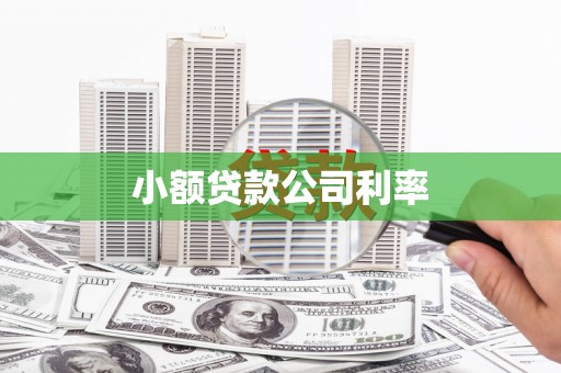 尚义小额贷款公司利率