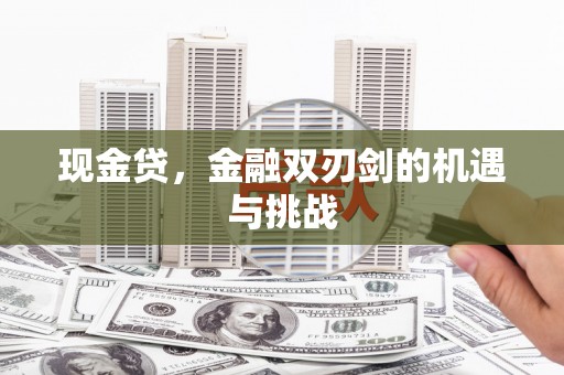 尚义现金贷，金融双刃剑的机遇与挑战