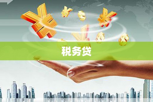 尚义税务贷