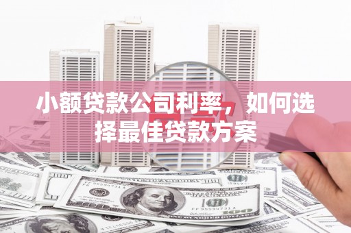 尚义小额贷款公司利率，如何选择最佳贷款方案