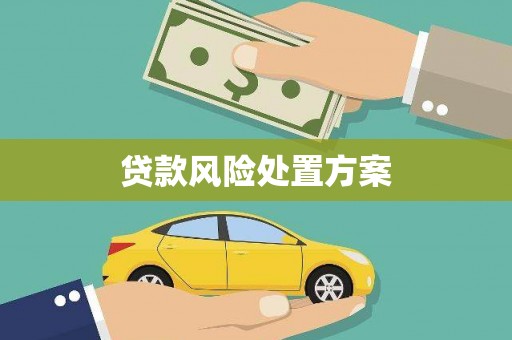 尚义贷款风险处置方案