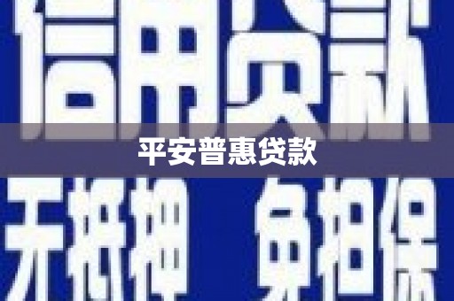 尚义平安普惠贷款