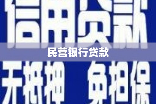 尚义民营银行贷款