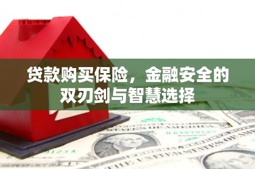 尚义贷款购买保险，金融安全的双刃剑与智慧选择