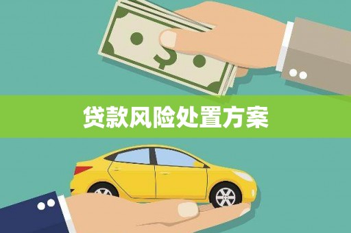 尚义贷款风险处置方案