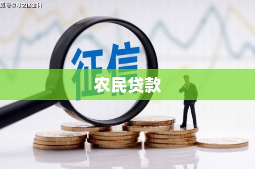 尚义农民贷款