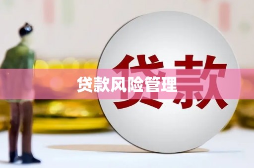 尚义贷款风险管理