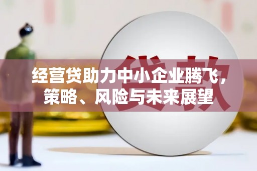 尚义经营贷助力中小企业腾飞，策略、风险与未来展望