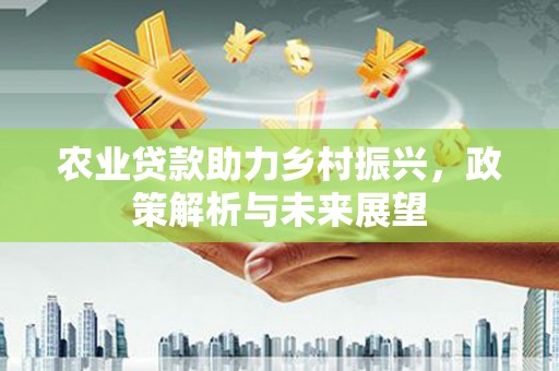 尚义农业贷款助力乡村振兴，政策解析与未来展望