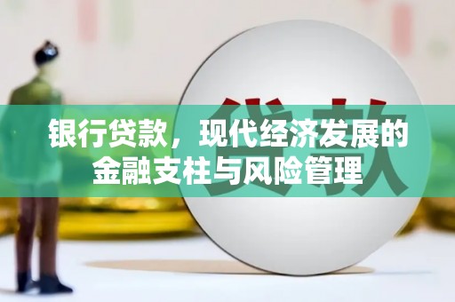 尚义银行贷款，现代经济发展的金融支柱与风险管理