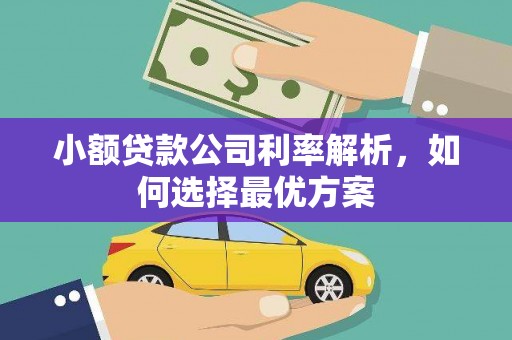 尚义小额贷款公司利率解析，如何选择最优方案