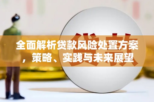 尚义全面解析贷款风险处置方案，策略、实践与未来展望