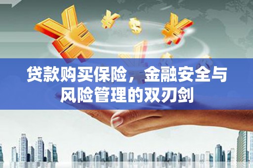 尚义贷款购买保险，金融安全与风险管理的双刃剑