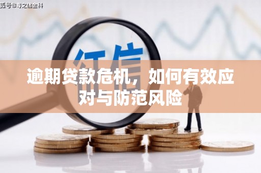 尚义逾期贷款危机，如何有效应对与防范风险