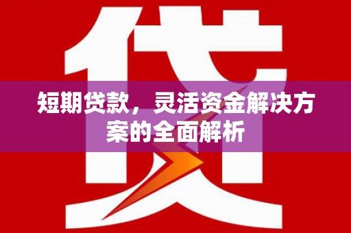 尚义短期贷款，灵活资金解决方案的全面解析