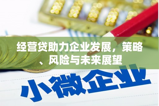 尚义经营贷助力企业发展，策略、风险与未来展望