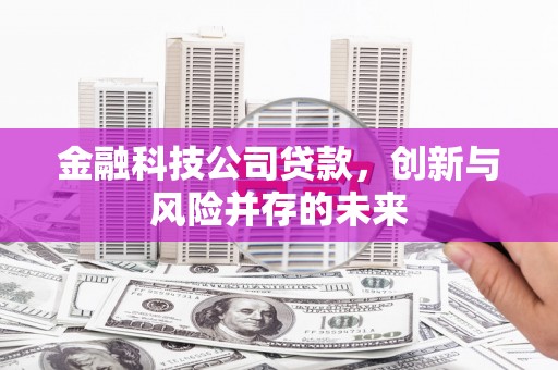 尚义金融科技公司贷款，创新与风险并存的未来