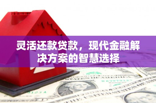 尚义灵活还款贷款，现代金融解决方案的智慧选择