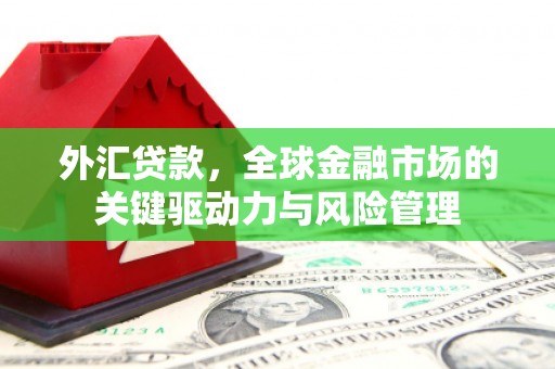 尚义外汇贷款，全球金融市场的关键驱动力与风险管理