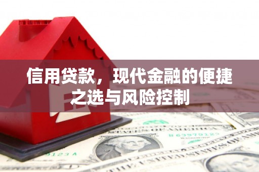 尚义信用贷款，现代金融的便捷之选与风险控制