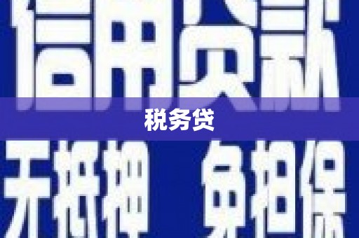 尚义税务贷