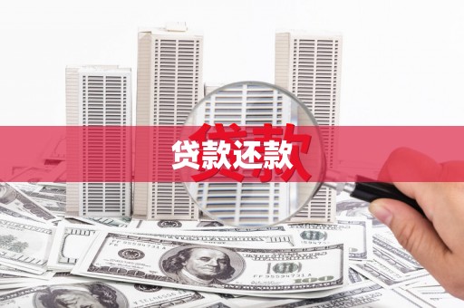 尚义贷款还款