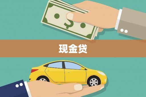 尚义现金贷