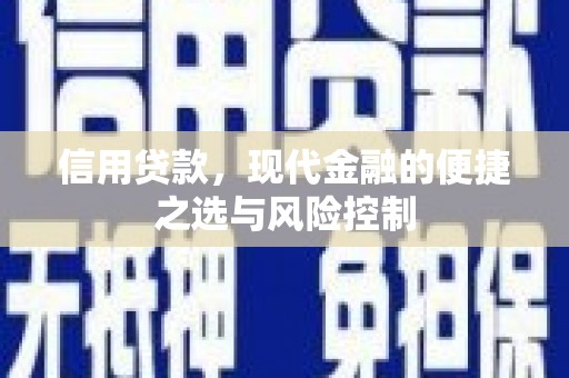 尚义信用贷款，现代金融的便捷之选与风险控制
