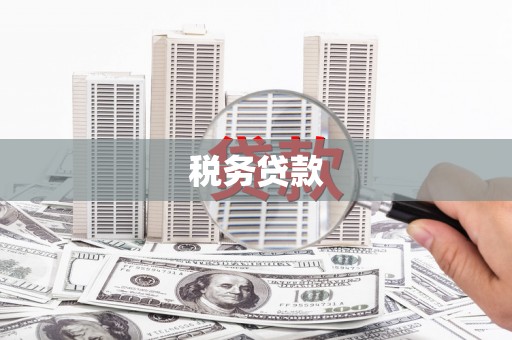 尚义税务贷款