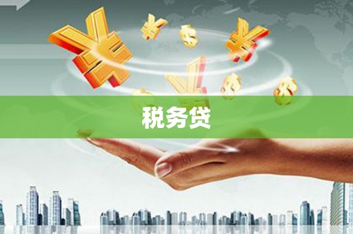 尚义税务贷