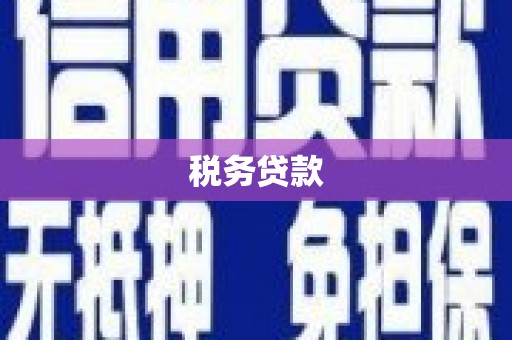 尚义税务贷款