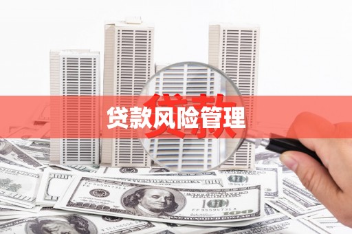尚义贷款风险管理