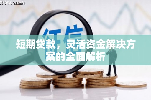尚义短期贷款，灵活资金解决方案的全面解析