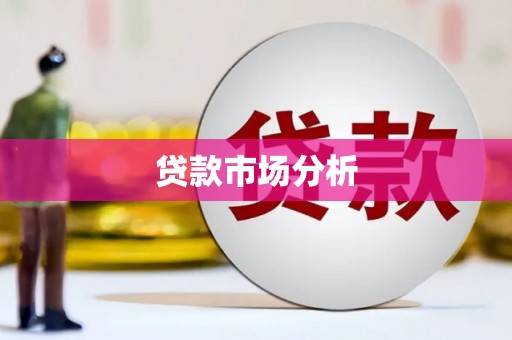 尚义贷款市场分析