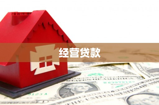 尚义经营贷款
