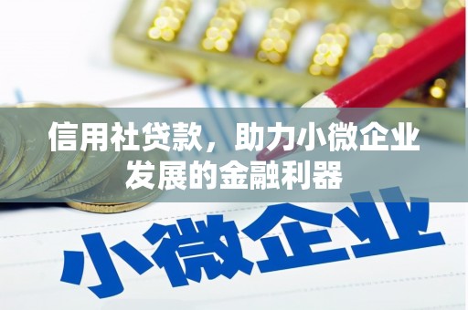 尚义信用社贷款，助力小微企业发展的金融利器