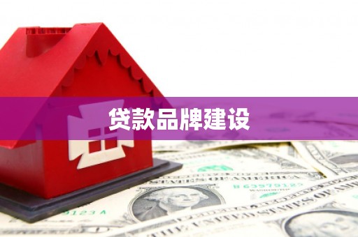尚义贷款品牌建设