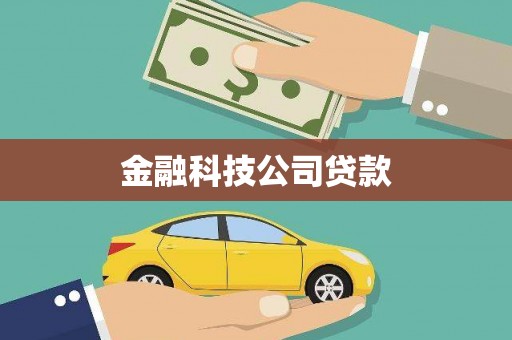 尚义金融科技公司贷款
