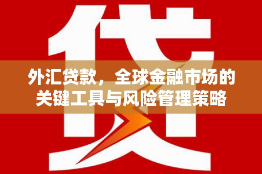尚义外汇贷款，全球金融市场的关键工具与风险管理策略