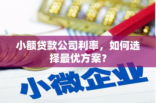 尚义小额贷款公司利率，如何选择最优方案？