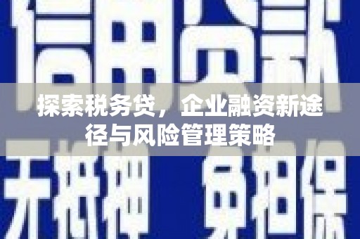尚义探索税务贷，企业融资新途径与风险管理策略