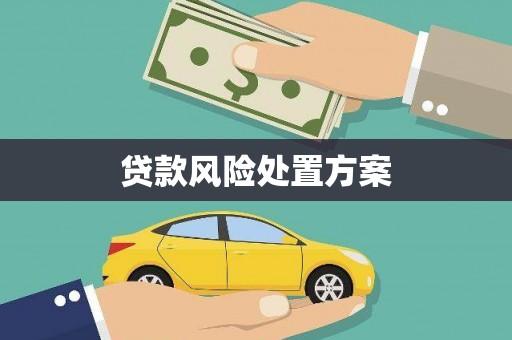 尚义贷款风险处置方案